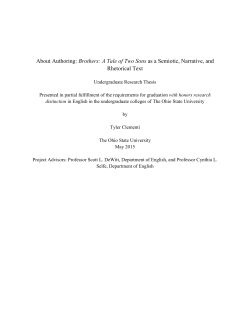 About Authoring: Brothers: A Tale of Two Sons as a Semiotic