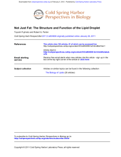 Not Just Fat: The Structure and Function of the Lipid Droplet