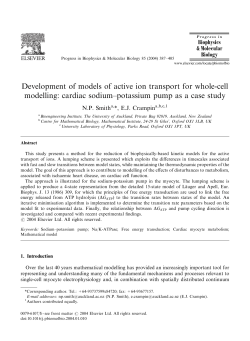 Development of models of active ion transport for