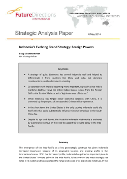 PDF - Future Directions International