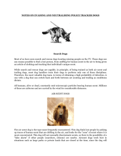 evading tracker dogs and drug dogs