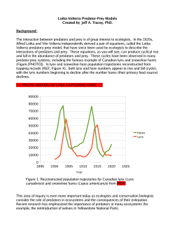 Predator-Prey Handout