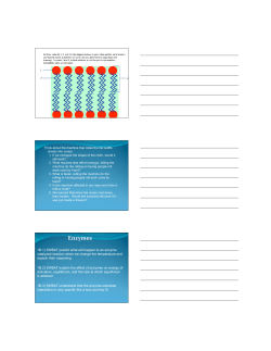 Enzymes_PP 8 31 - cloudfront.net