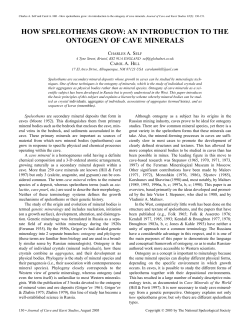 how speleothems grow: an introduction to the ontogeny of cave