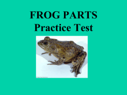 FROG PARTS Practice Test