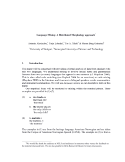 Language Mixing: A Distributed Morphology approach