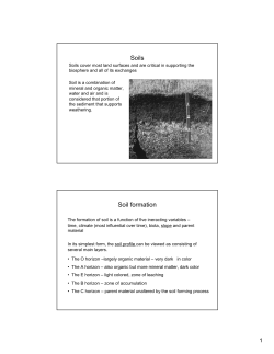 Soils Soil formation
