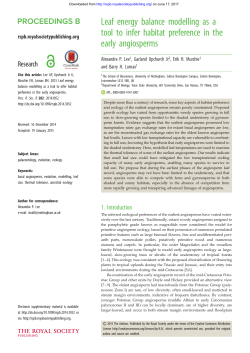 Leaf energy balance modelling as a tool to infer habitat preference