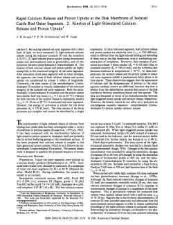 Rapid Calcium Release and Proton Uptake at the Disk Membrane of