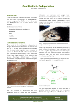 Goat Health 3 - Endoparasites Goat Health 3 - Endoparasites