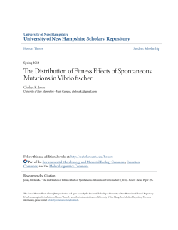 The Distribution of Fitness Effects of Spontaneous Mutations in