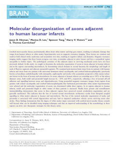 Molecular disorganization of axons adjacent to
