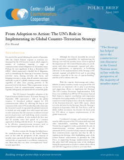 From Adoption to Action: The UN`s Role in Implementing its Global
