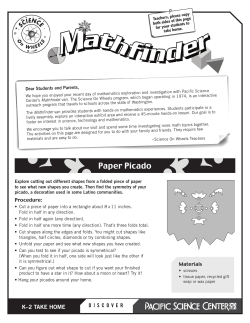 Paper Picado - Pacific Science Center