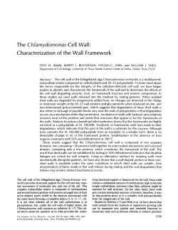 The Chlamydomonas Cell Wall" Characterization of