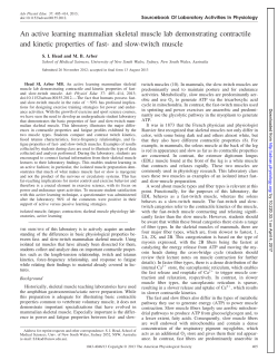 and slow-twitch muscl