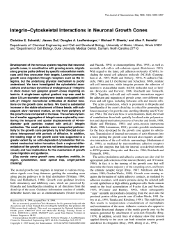 Integrin-Cytoskeletal Interactions in Neuronal Growth Cones