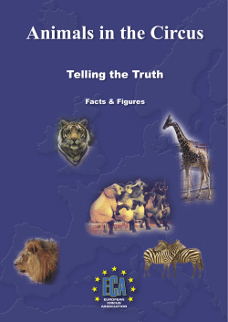 Animals in the Circus