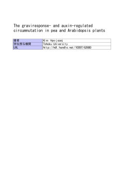 and auxin-regulated circumnutation in pea and Arabidopsis plants