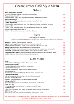 OceanTerrace Caf&eacute; Style Menu