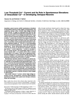 Low-Threshold Ca*+ Current and Its Role in Spontaneous