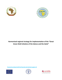 Harmonised regional strategy for implementation of the