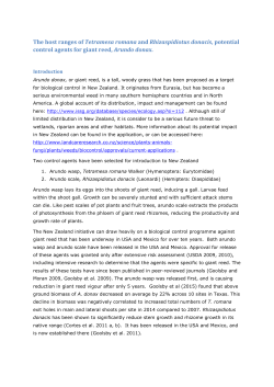The host ranges of Tetramesa romana and Rhizaspidiotus donacis