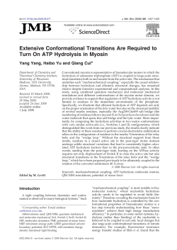 Extensive Conformational Transitions Are Required to Turn On ATP