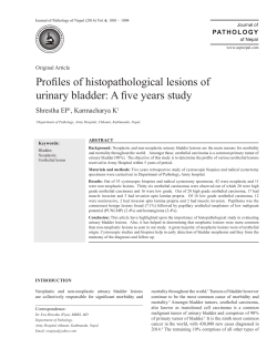 Profiles of histopathological lesions of urinary bladder: A five years