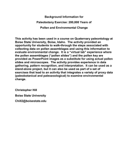 Instructions for Paleobotany (Pollen)