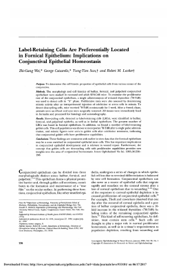 Label-retaining cells are preferentially located in fornical