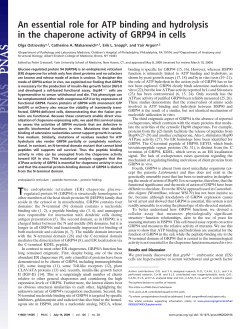 An essential role for ATP binding and hydrolysis in the chaperone