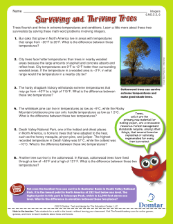 Surviving and Thriving Trees