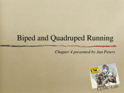 Biped and Quadruped Running