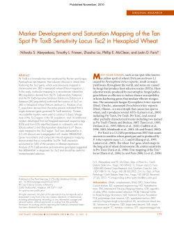 Marker Development and Saturation Mapping of the Tan Spot Ptr