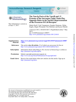 of the Precursor B Cell Receptor Opposite Roles in the Surface