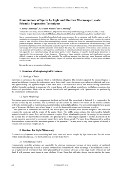Examinations of Sperm by Light and Electron Microscopic Levels