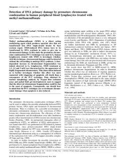 Detection of DNA primary damage by premature chromosome