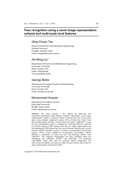 Face recognition using a novel image representation scheme and