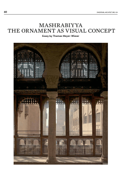 mashrabiyya the ornament as visual concept - Thomas Meyer