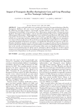 Impact of Transgenic Bacillus thuringiensis Corn and Crop