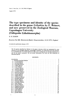 The type specimens and identity of the species described in the