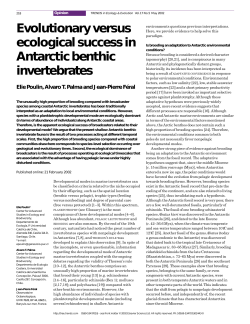 Evolutionary versus ecological success in Antarctic benthic
