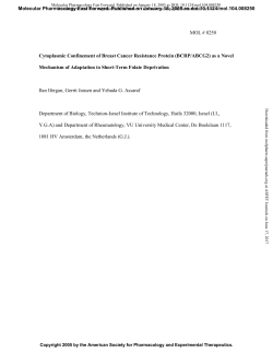 MOL # 8250 Cytoplasmic Confinement of Breast Cancer Resistance
