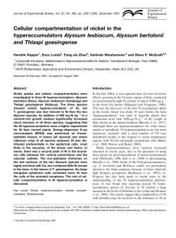 Cellular compartmentation of nickel in the hyperaccumulators