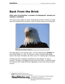 Back From the Brink