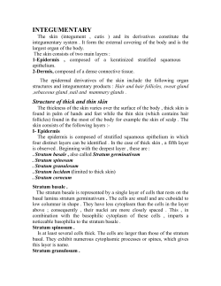 INTEGUMENTARY