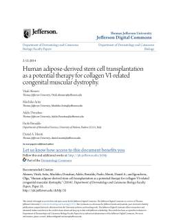 Human adipose-derived stem cell transplantation as a potential