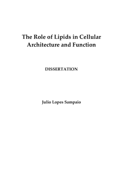 The Role of Lipids in Cellular Architecture and Function