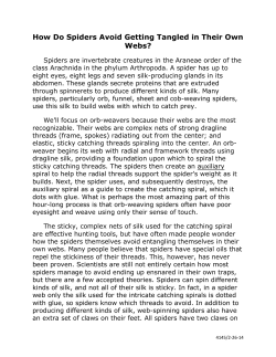 How Do Spiders Avoid Getting Tangled in Their Own Webs?